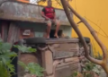 Vídeo: Flamenguista supostamente bêbad0 ri após cap0tar carro na frente de casa no bairro Compensa
