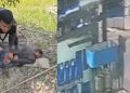 Vídeo: Após pular muralha de delegacia e fugir, homem é recapturado por furt0 de botijões de gás no Amazonas