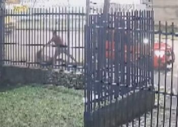 Vídeo: Motorista de aplicativo puxa mulher pelos cabelos e a joga na calçada durante corrida