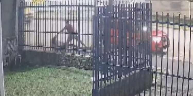 Vídeo: Motorista de aplicativo puxa mulher pelos cabelos e a joga na calçada durante corrida