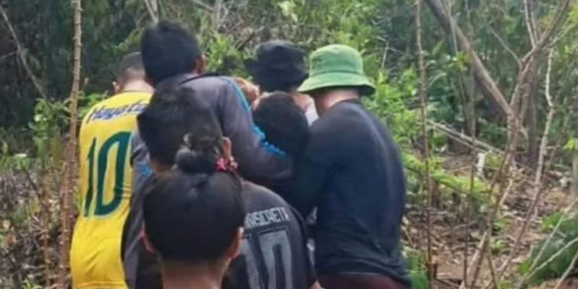 Trabalhador é esm4gado por árvore durante derrubada para roçado na zona rural de Maués