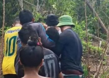 Trabalhador é esm4gado por árvore durante derrubada para roçado na zona rural de Maués