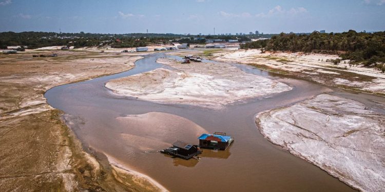 Rio Negro despenca 5 metros em setembro e nível chega a 18,59 metros em Manaus