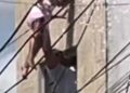 Vídeo: Menina de 4 anos cai de janela e fica pendurada em fiação elétrica