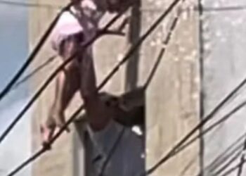 Vídeo: Menina de 4 anos cai de janela e fica pendurada em fiação elétrica