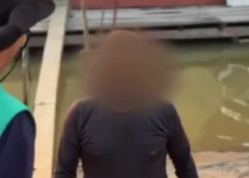 Homem é preso após esp4nc4r cachorro com pedaço de madeira e jogar animal am4rrado na água no AM