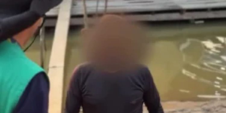 Homem é preso após esp4nc4r cachorro com pedaço de madeira e jogar animal am4rrado na água no AM